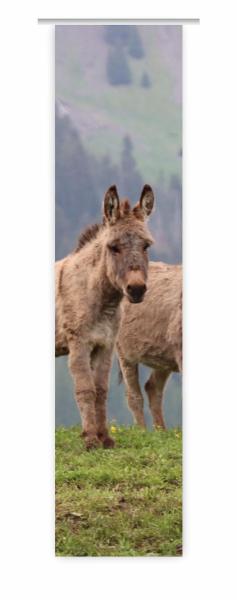 Flächenvorhang Beste Freunde,  Schiebevorhang, Schiebegardine, modern, 60 cm breit, 2,65 m hoch, 3 m hoch